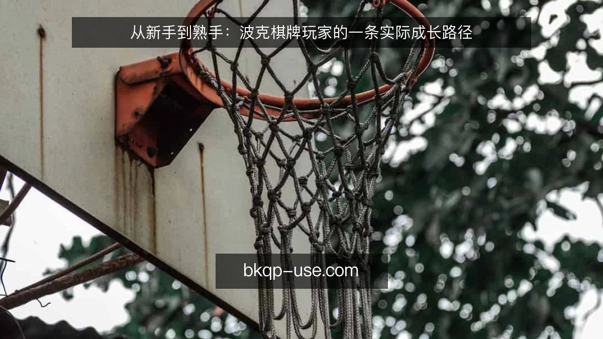 从新手到熟手:波克棋牌玩家的一条实际成长路径